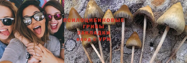 ALPHA PVP Переславль-Залесский