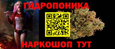 jwh Аргун