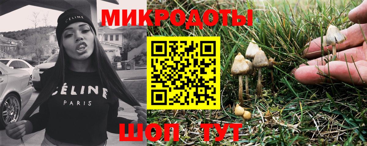 Галлюциногенные грибы ЛСД Ахтубинск