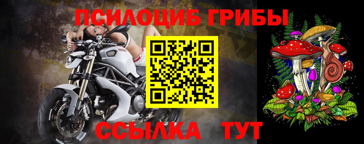 Галлюциногенные грибы прущие грибы  наркота  Ахтубинск  Псилоцибиновые грибы ЛСД  Вход с VPN 