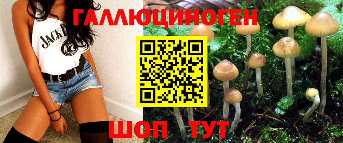 Галлюциногенные грибы Psilocybine cubensis  Ахтубинск 